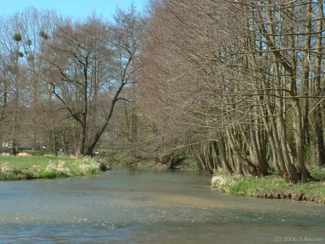 Ancourt (Eaulne)