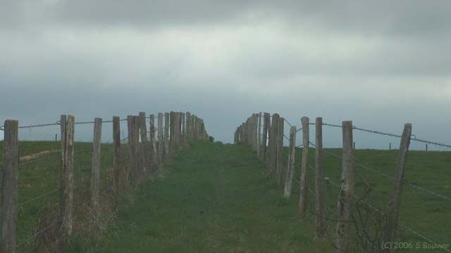 Héronchelles (Chemin)