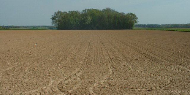 Bierville (Plaine)