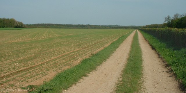 Blainville Crevon (Chemin)