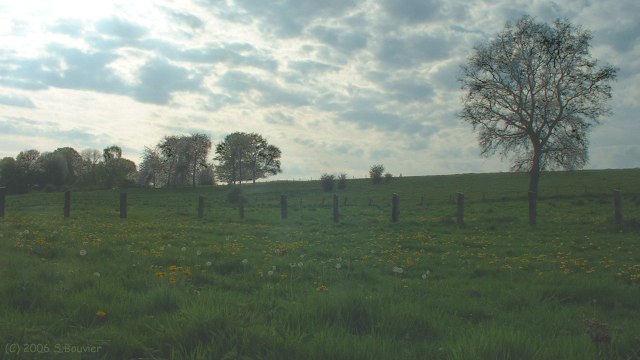 Blainville Crevon (Prairie 1)