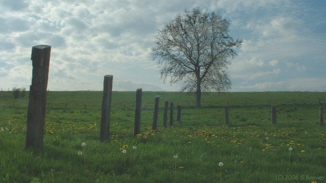 Blainville Crevon (Prairie 2)