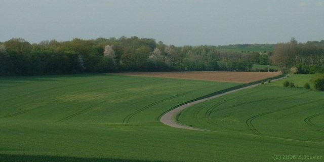 Blainville Crevon (Courbure)