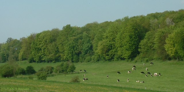 Ste Croix sur Buchy (Fond 1)