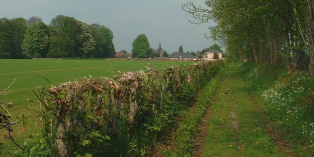 Ste Croix sur Buchy (Chemin)
