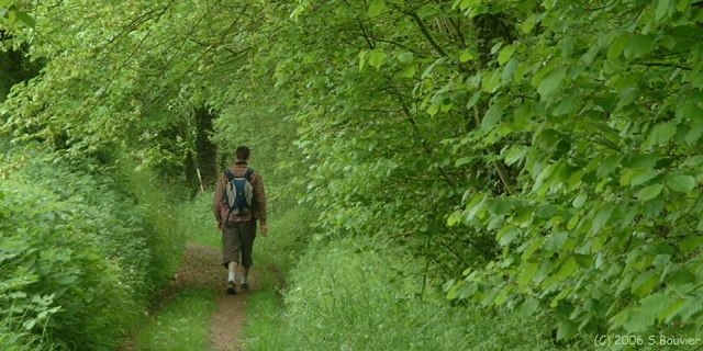 St Pierre le Vieux (Chemin 2)