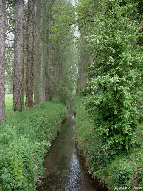 St Pierre le Vieux (le Dun)