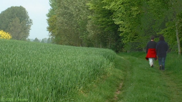 Le Bourg Dun (Chemin)