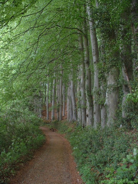 Bec de Mortagne (Chemin)