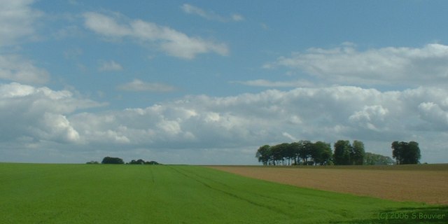 Bec de Mortagne (Plaine 1)