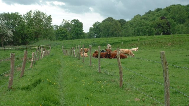 Tourville les Ifs (Sentier 1)