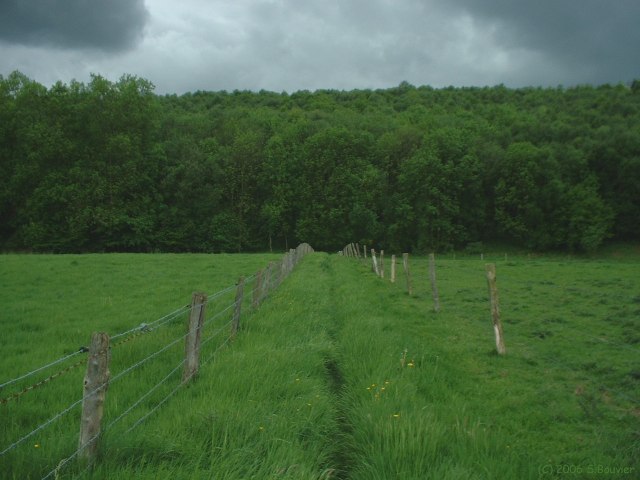 Tourville les Ifs (Sentier 2)