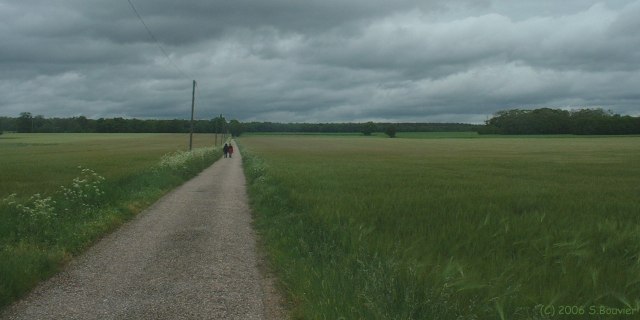 Sahurs (Allée)