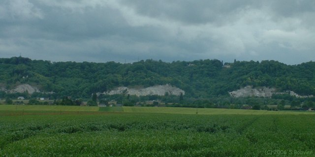 Sahurs (Falaises)