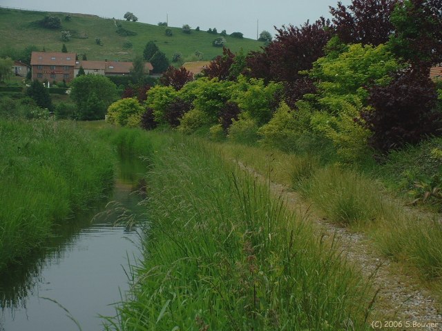 Rouxmesnil (Chemin 1)