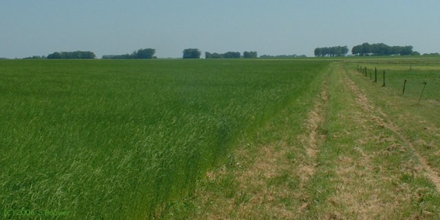 Tourville les Ifs (Chemin)