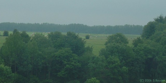 Bois Héroult (Prairies)