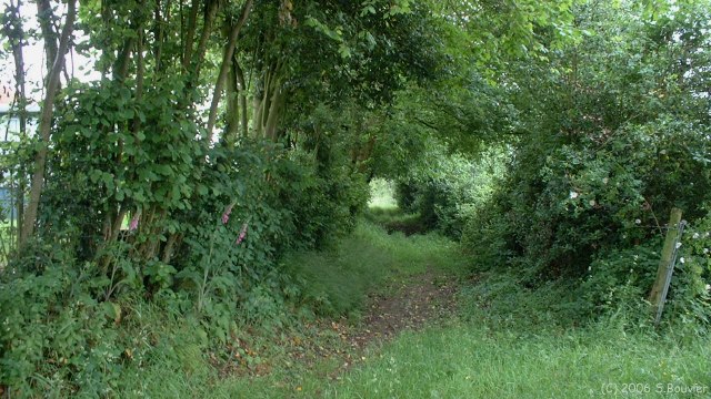 Bois Héroult (Chemin)