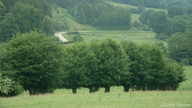 Vallée de l'Héronchelles