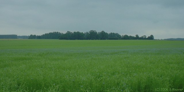 Héronchelles (Lin 2)