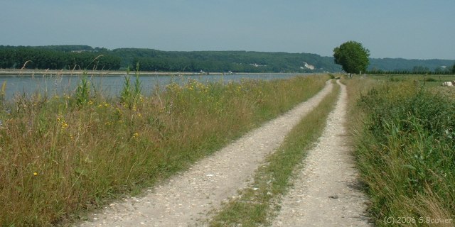 Vatteville la Rue (Chemin)