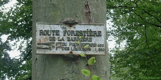 Forêt d'Eawy (Panneau)