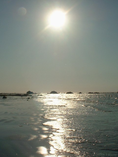 Ste Marguerite sur Mer (Rochers 1)