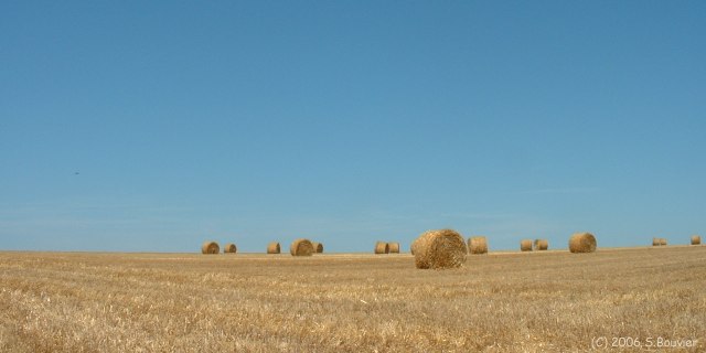 Bellencombre (Paille)