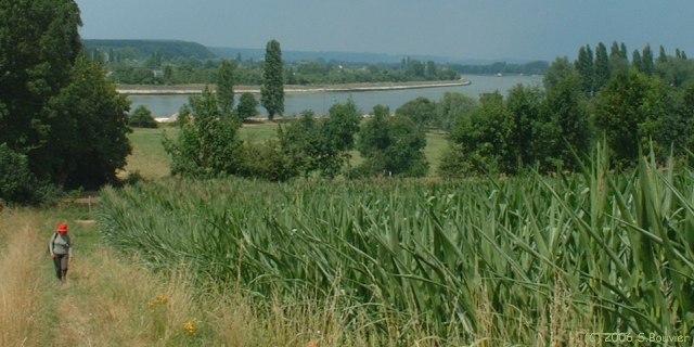 Yville sur Seine (Chemin)