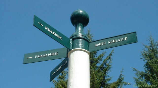 Forêt d'Eu (Poteau)