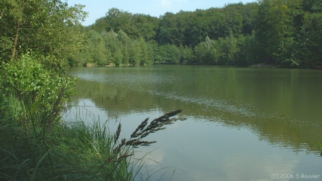 Hez Froidmont (Etang)