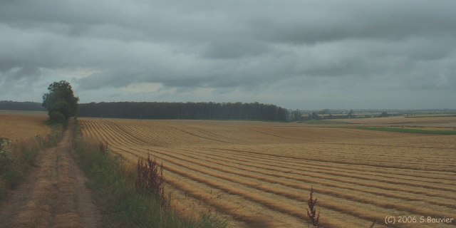 Melleville (Chemin 2)