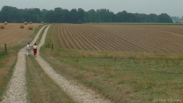 Mesnil Durdent (Chemin 1)