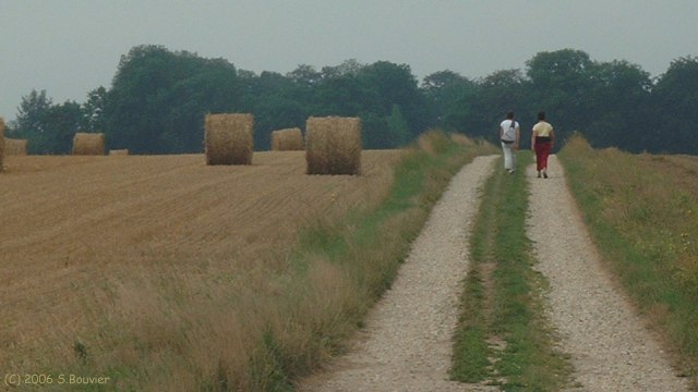 Mesnil Durdent (Chemin 2)