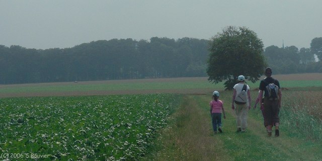 Ermenouville (Chemin)