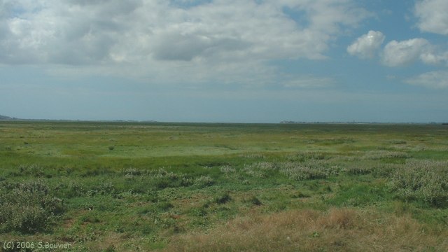 Noyelles sur Mer (Baie)