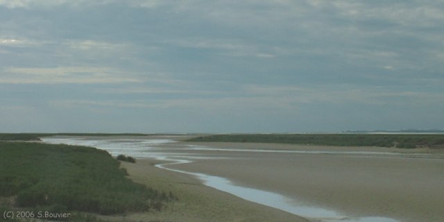 Baie de Somme (Slikke)