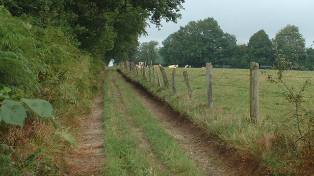 Auffay (Chemin 3)