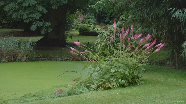 Auffay (Jardin 2)