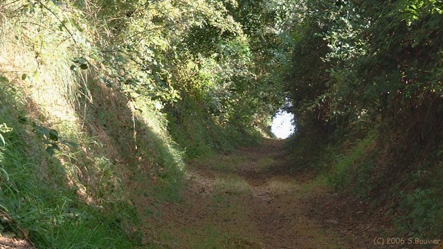 Sotteville sur Mer (Chemin 2)