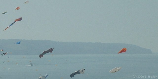 Cerfs-Volants (1)