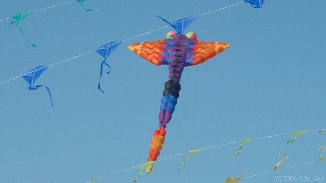 Cerfs-Volants (2)