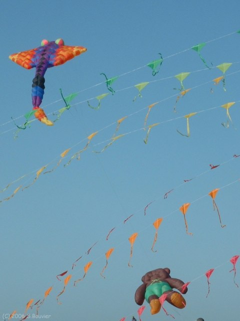 Cerfs-Volants (3)