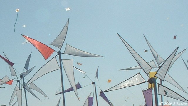 Cerfs-Volants (6)