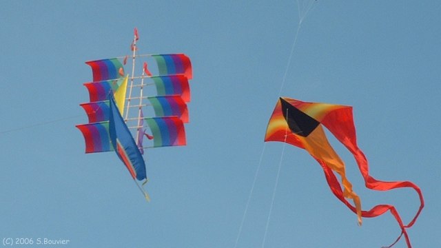 Cerfs-Volants (6)