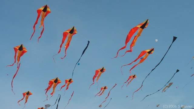 Cerfs-Volants (7)