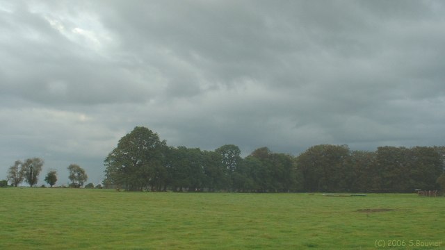 Offranville (Prairie)