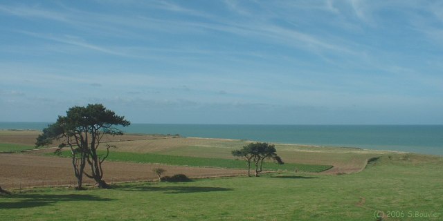 Quiberville (Pins 2)