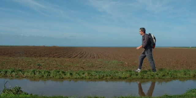 Quiberville (Grand Mont)