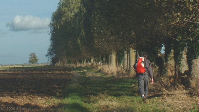 Avremesnil (Chemin)